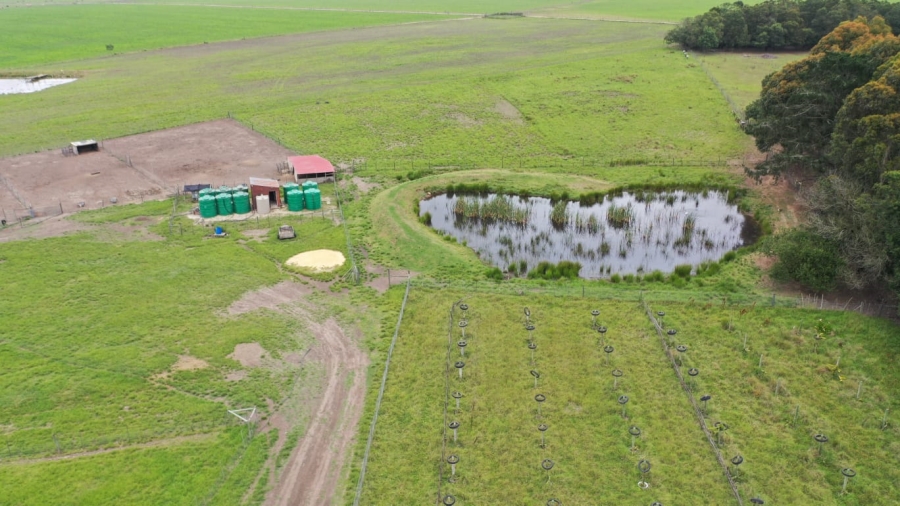 6 Bedroom Property for Sale in Wilderness Rural Western Cape
